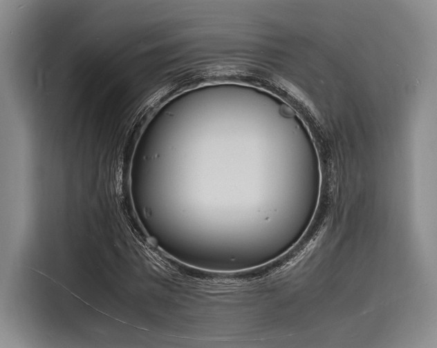 X0000116140777200911301520