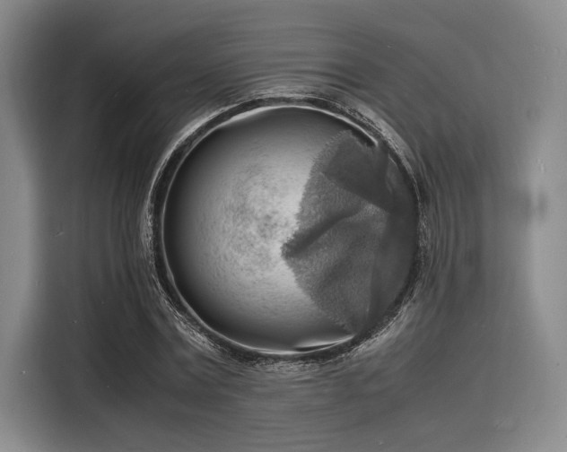 X0000116140779200911301520