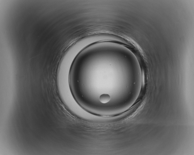 X0000116140785200911301520