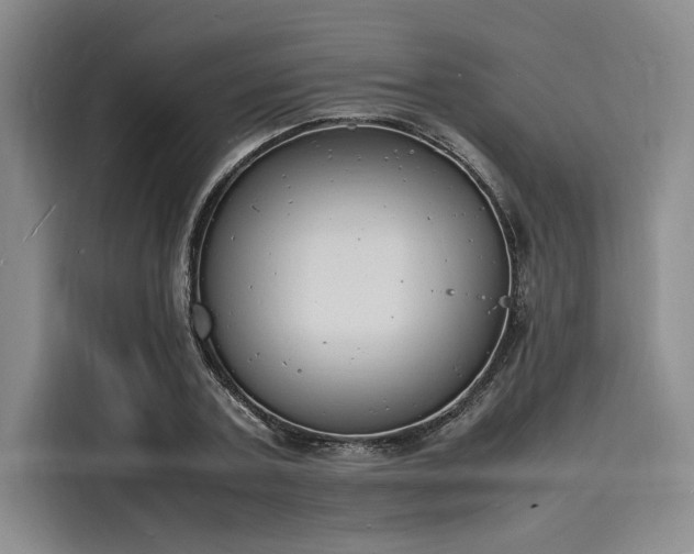 X0000116140787200911301520