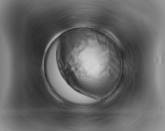 X0000116140788200911301520