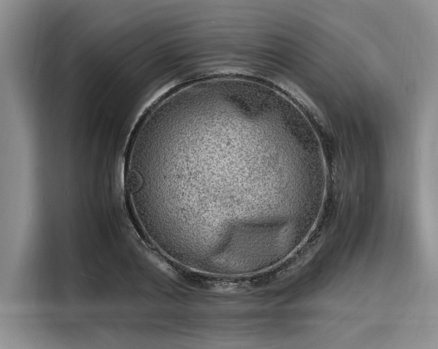 X0000116140790200911301520
