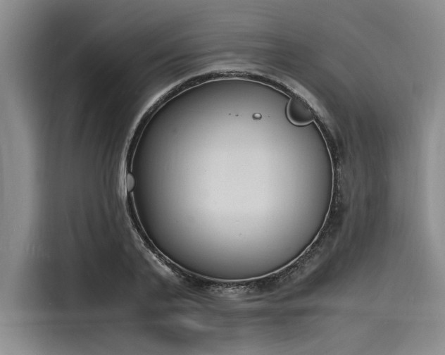 X0000116140791200911301520