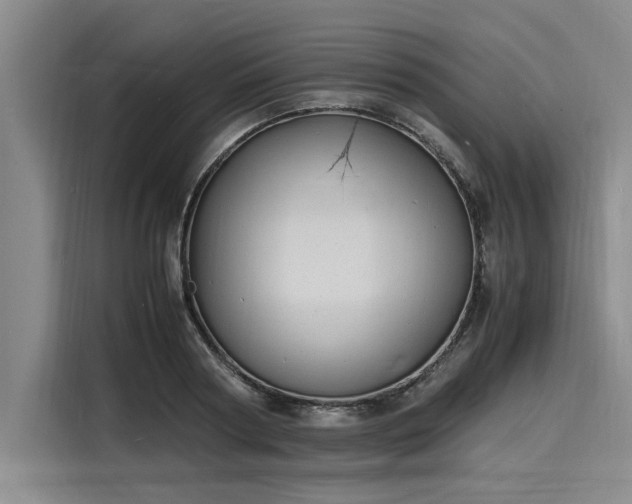 X0000116140794200911301520
