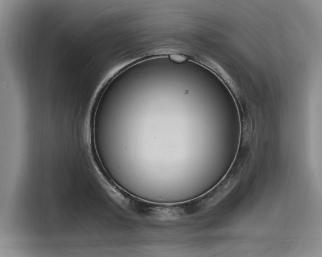 X0000116140795200911301520