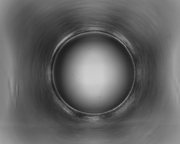 X0000116140798200911301519