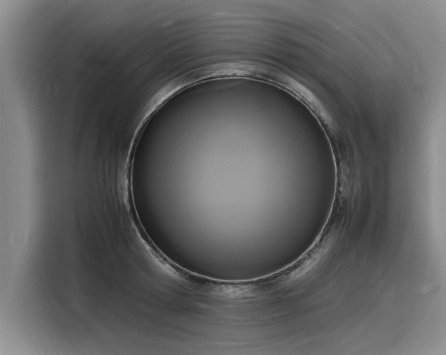 X0000116140802200911301519