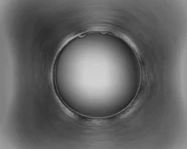 X0000116140803200911301519