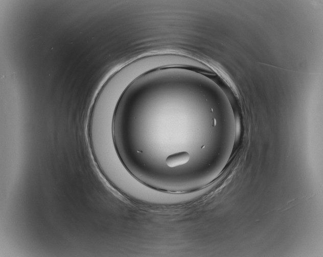 X0000116140805200911301519