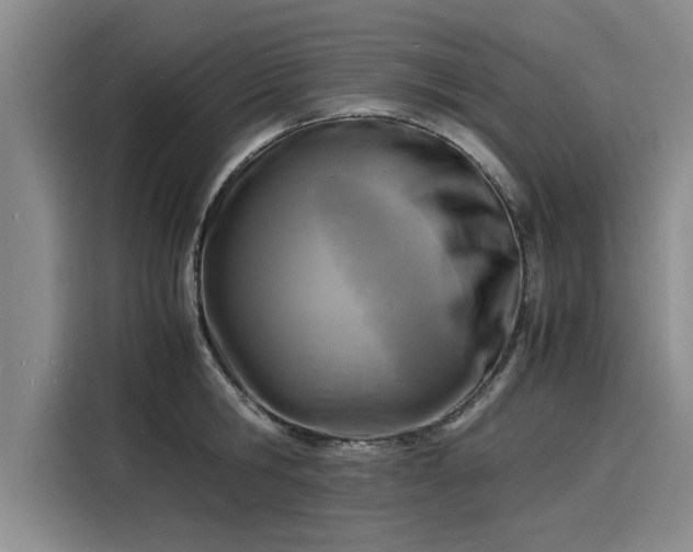 X0000116140806200911301519