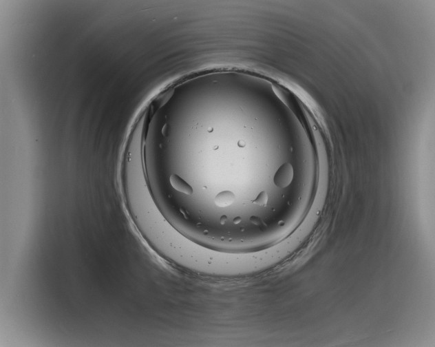 X0000116140807200911301519