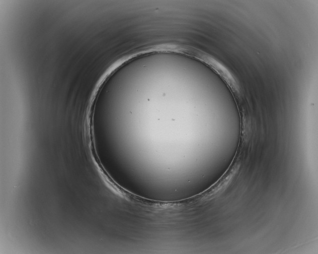 X0000116140808200911301519