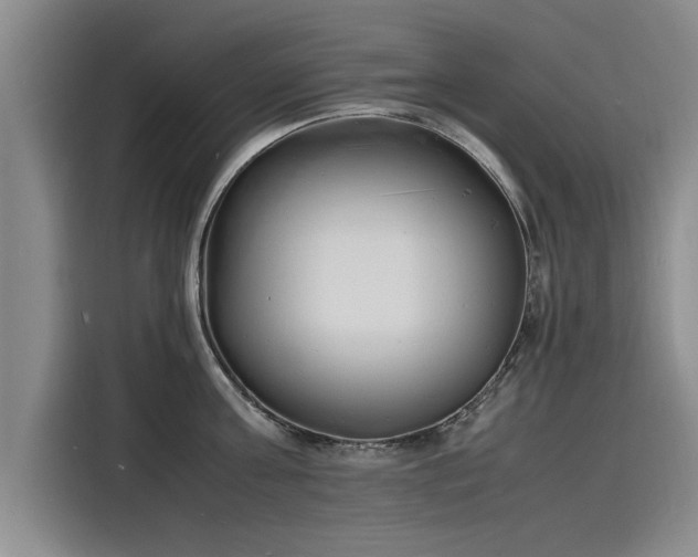 X0000116140811200911301519
