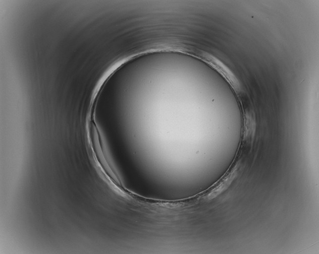 X0000116140812200911301519