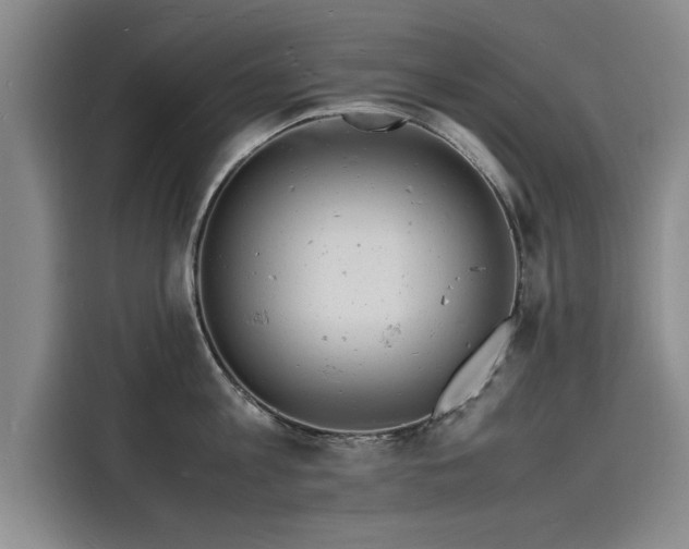 X0000116140813200911301519