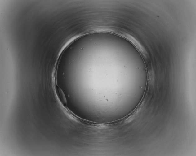 X0000116140814200911301519