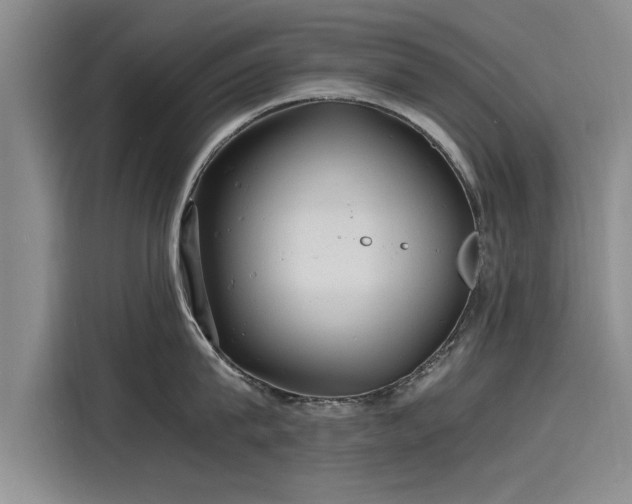X0000116140815200911301519