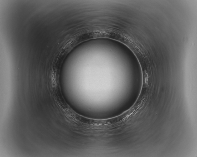 X0000116140819200911301519