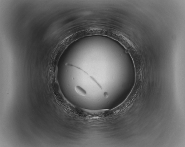 X0000116140821200911301519