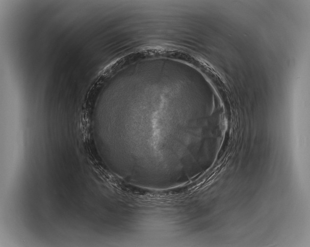 X0000116140822200911301519