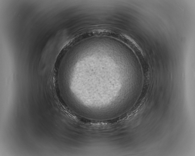 X0000116140823200911301519