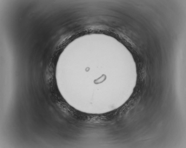X0000116140824200911301519