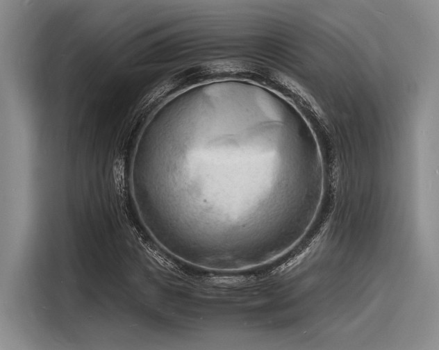 X0000116140825200911301519