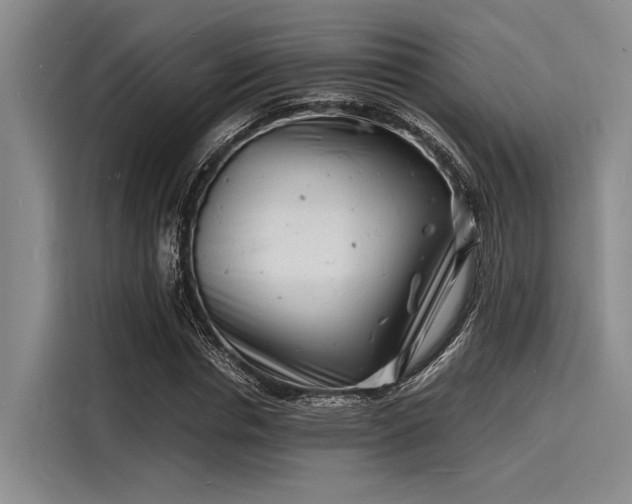 X0000116140826200911301519