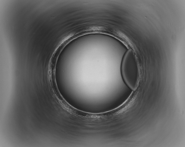 X0000116140827200911301519