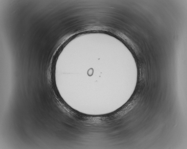 X0000116140828200911301519