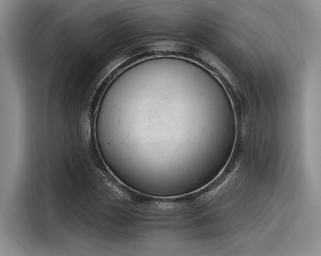 X0000116140829200911301519