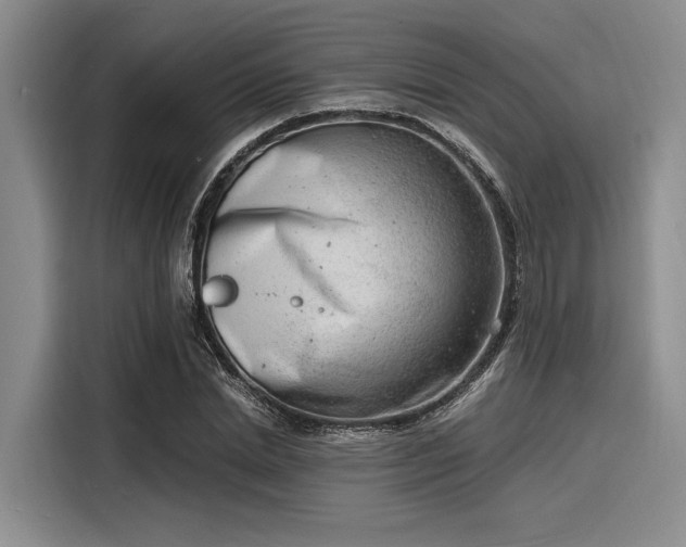 X0000116140830200911301519