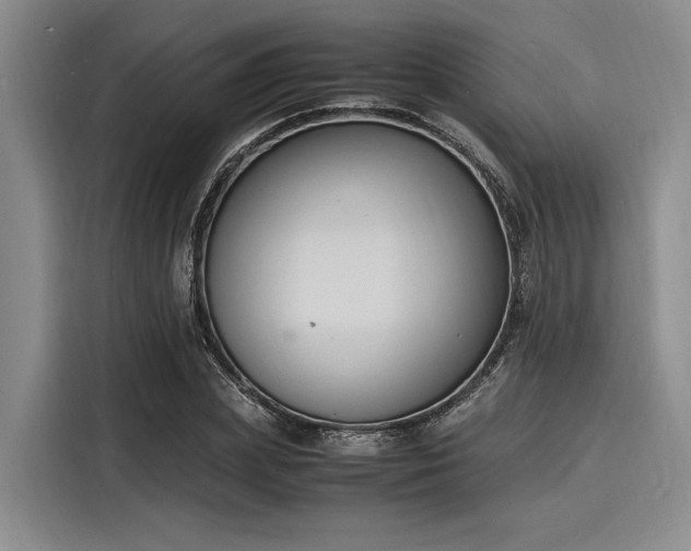 X0000116140831200911301519