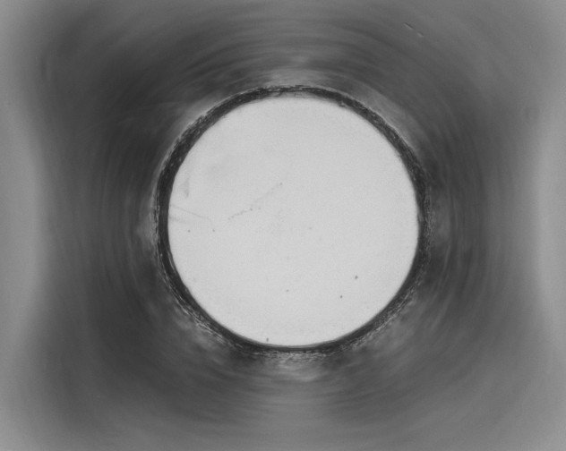 X0000116140832200911301519