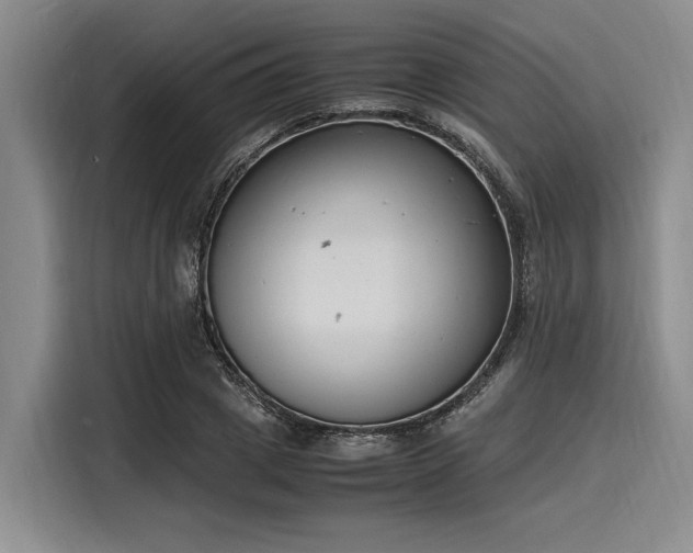 X0000116140833200911301519