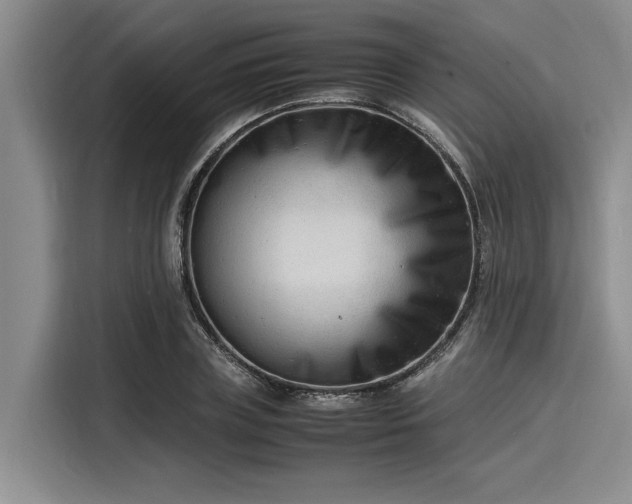X0000116140835200911301519