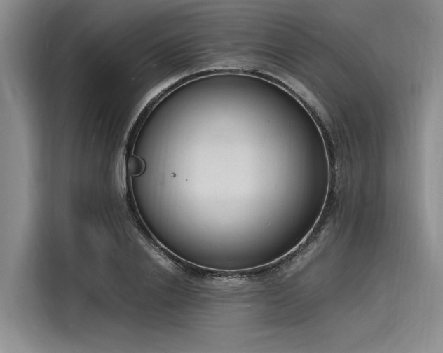 X0000116140838200911301519