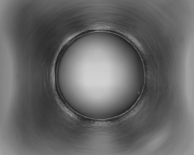 X0000116140840200911301519