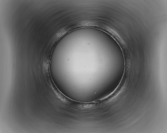 X0000116140841200911301519