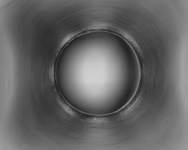 X0000116140842200911301519
