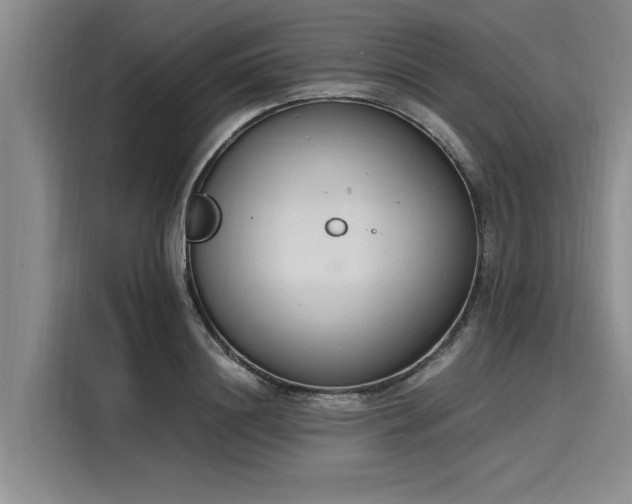 X0000116140844200911301519