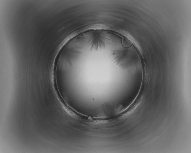 X0000116140845200911301519