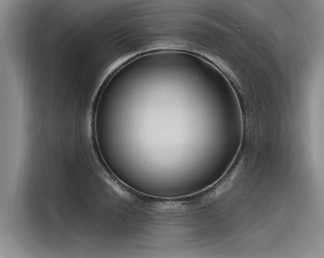 X0000116140846200911301519