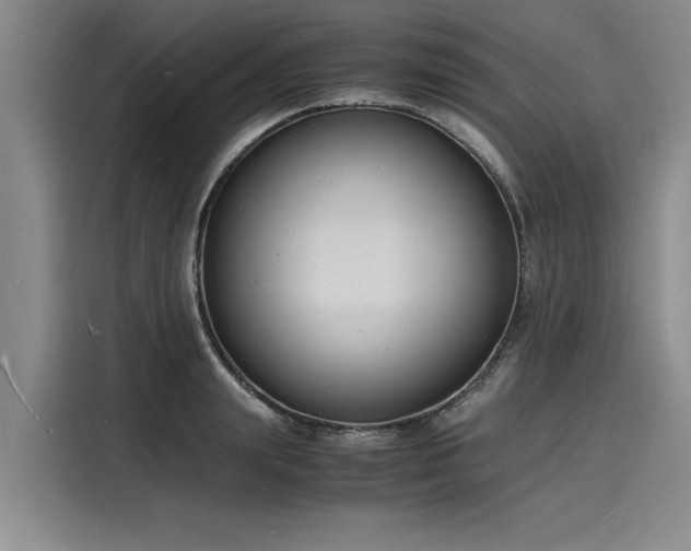 X0000116140847200911301519