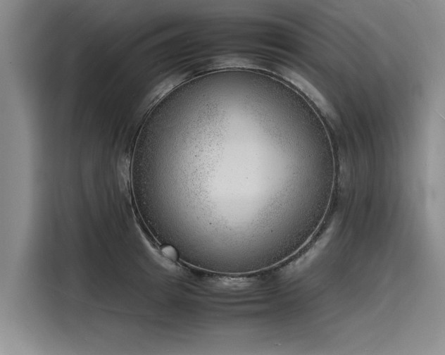X0000116140849200911301519