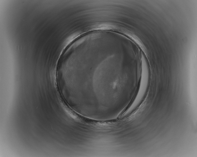 X0000116140850200911301519