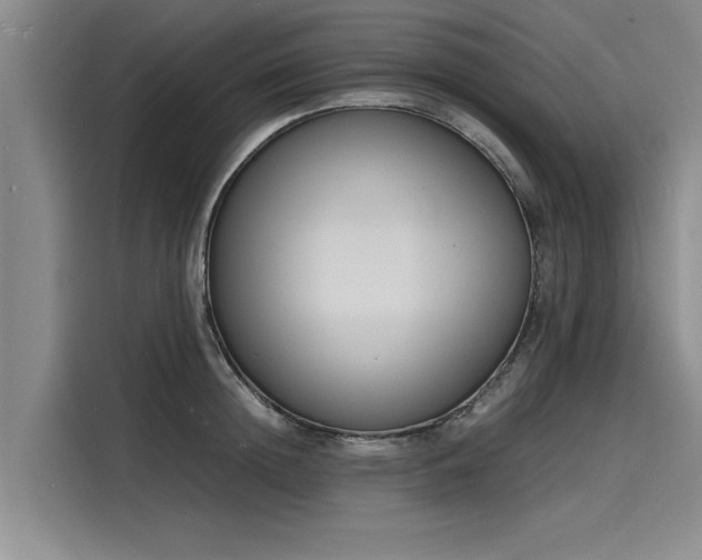X0000116140852200911301519