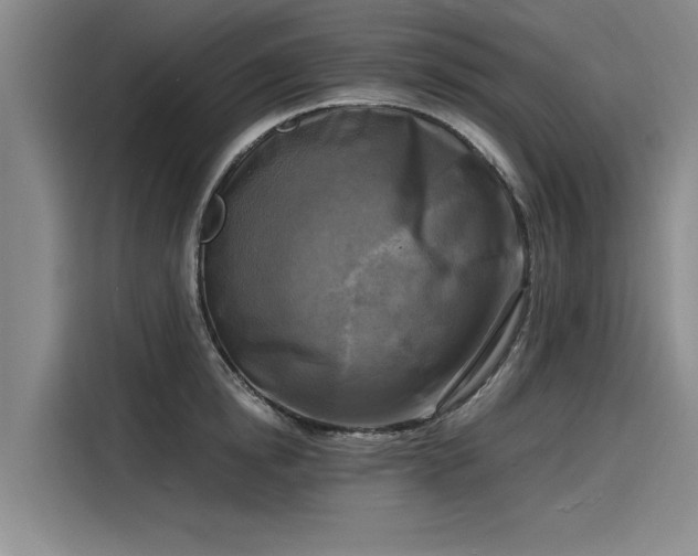 X0000116140854200911301519