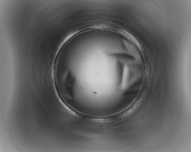 X0000116140855200911301519