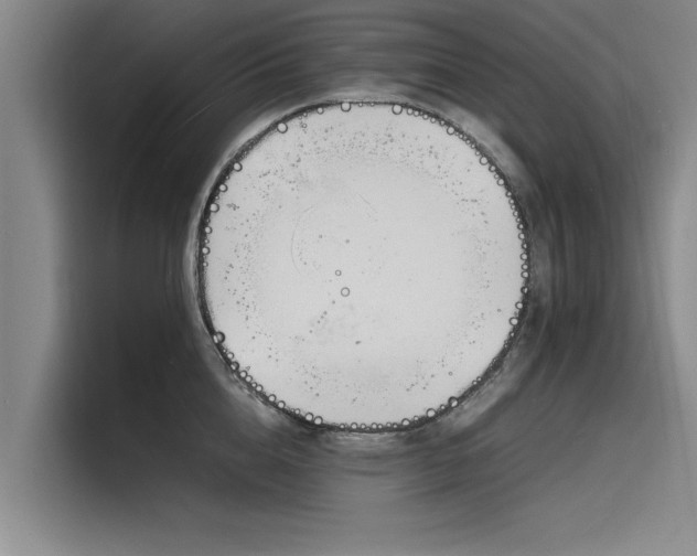 X0000116140856200911301519